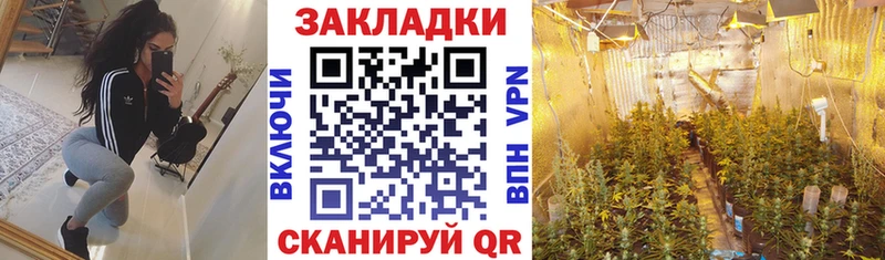Где продают наркотики Вилючинск СК  ГАШИШ  LSD-25  Cocaine 