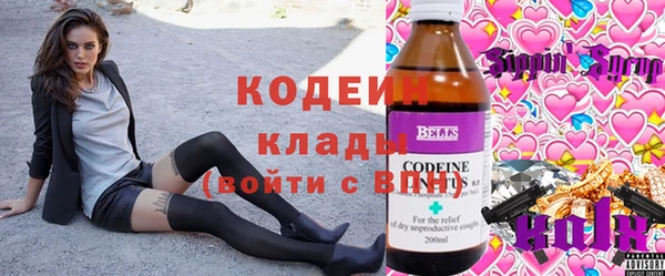 сатива Арсеньев