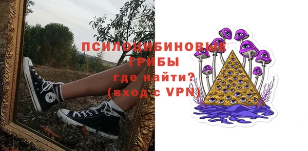 сатива Арсеньев