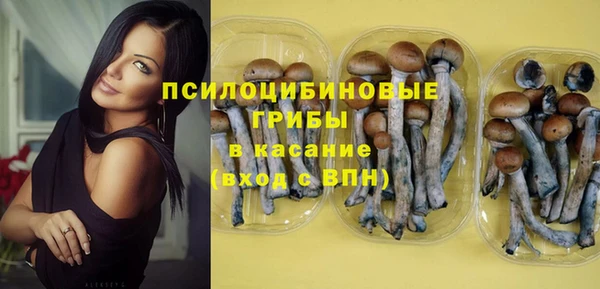 сатива Арсеньев
